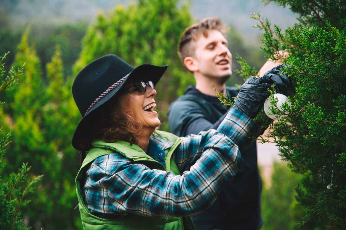 Highway 360 Post-Holiday Cleanup 01.06.2018